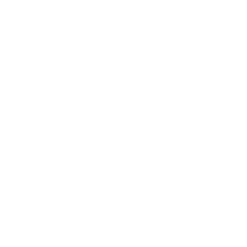 Xiaomi Logo